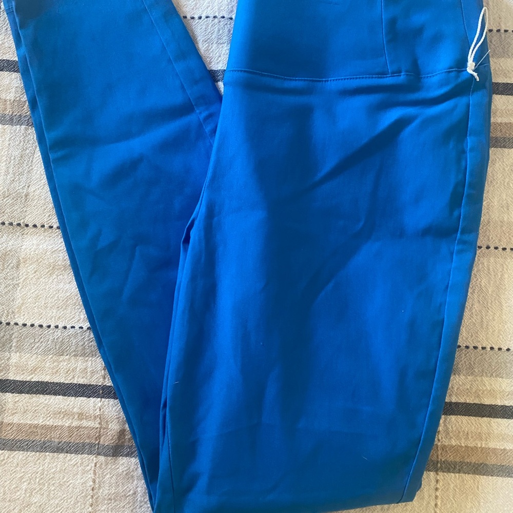 Worthington Bold Blue Women's Skinny Pants